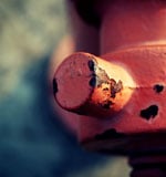 Famous vastu consultant